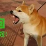 网赌赌狗日记-博彩技巧论坛-博彩策略网