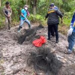 泰国再现惊天恶性凶杀大案 已发现4具烧焦尸体-博彩技巧论坛-博彩策略网